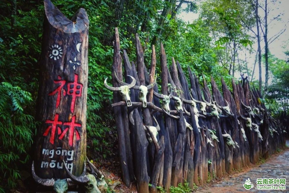 图片关键词 图片关键词