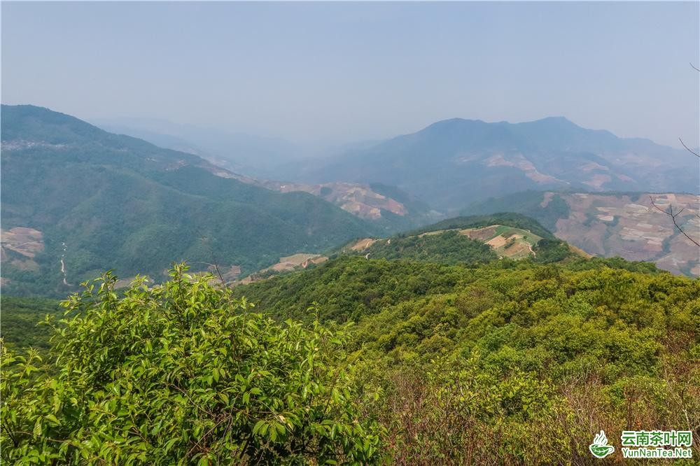 图片关键词 图片关键词