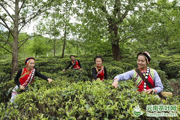 图片关键词