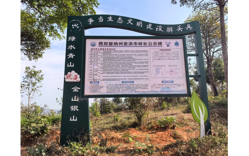 西双版纳景洪市林长公示牌-景洪市大渡岗乡茶海社区Lin Chang Public Notice Board in Jinghong City, Xishuangbanna - Chahai Community, Dadugang Township, Jinghong City