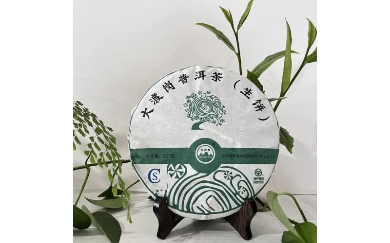 春茶开采！“明前茶”抢“鲜”上市 Spring tea picking! "Mingqian tea" is rushed to market for its freshness