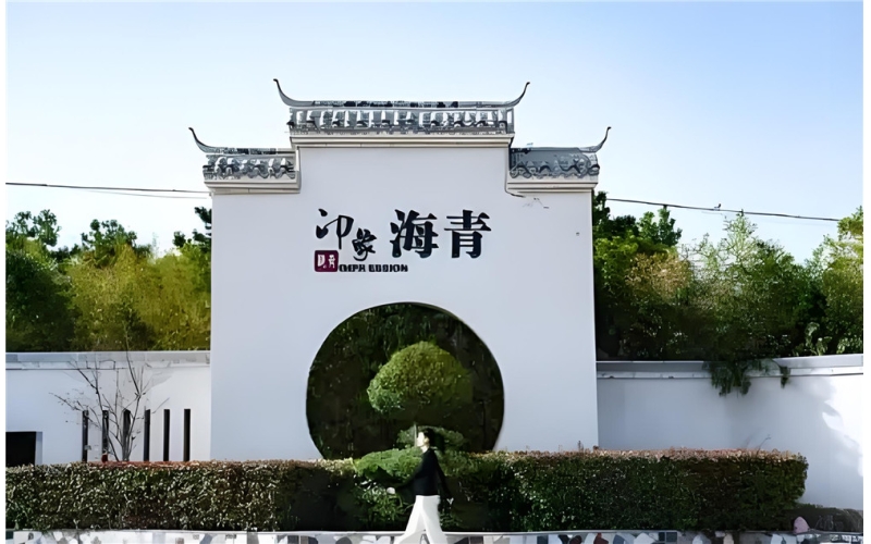 山海之间的绿意传奇——海青茶里的江北春秋The Legend of Greenery between Mountains and Seas - The Spring and Autumn of Jiangbei in Haiqing Tea